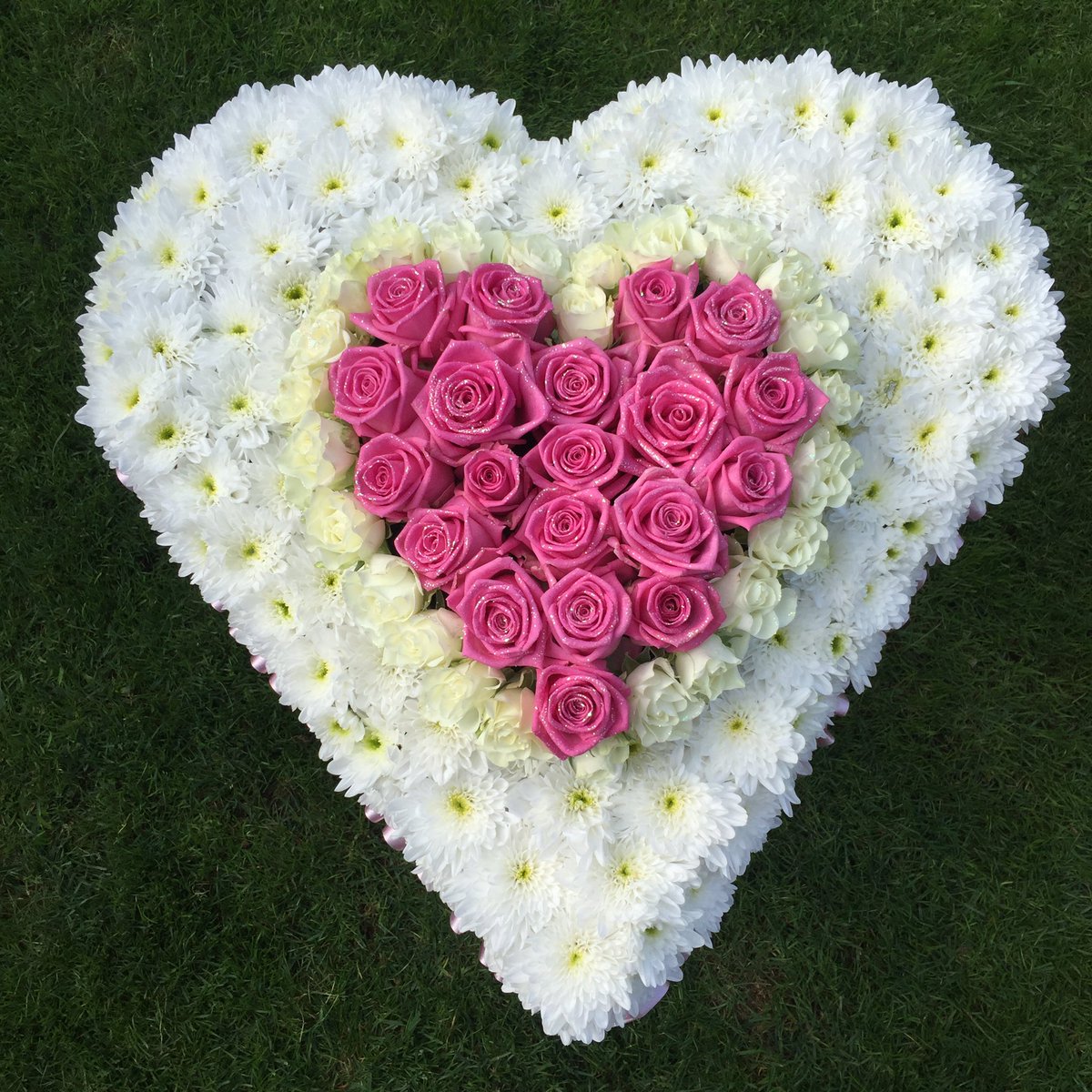 HardingFlowers's tweet image. 