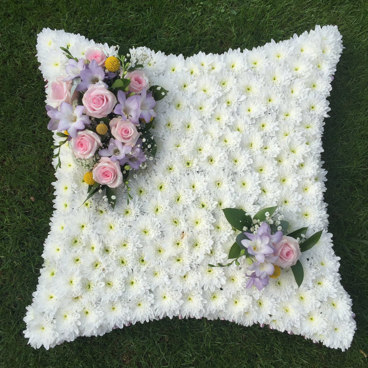 HardingFlowers's tweet image. 