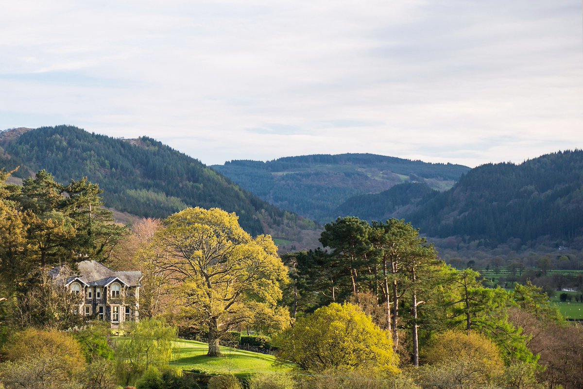 FfinyParcArt's tweet photo. Ffin y Parc Gallery, Llanrwst, Conwy, North Wales. One of the biggest Art Galleries in Wales. https://t.co/RsoTfzsboK #welshart https://t.co/65OOYSt2dw