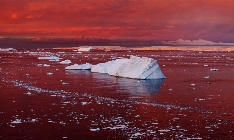 TEDTalks's tweet photo. What’s happening in Antarctica won’t stay in Antarctica. https://t.co/mxFkfMOtJb https://t.co/xfOggC0jtG