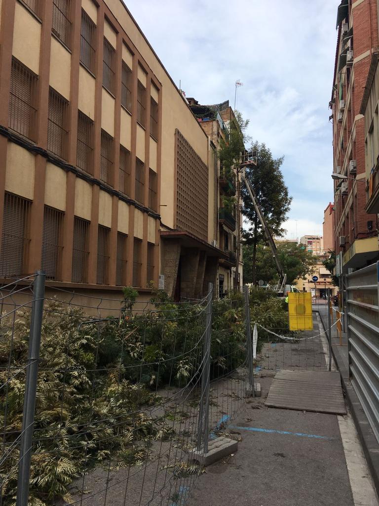 ElPiRemunta's tweet photo. El govern de L'H aprèn ràpid de la dreta, mentre estem entretinguts amb "el tema" ells van fent de les seves. Nou #arboricidi a BaródMaldà https://t.co/ffm2AiUywA