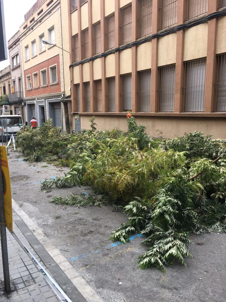 ElPiRemunta's tweet photo. El govern de L'H aprèn ràpid de la dreta, mentre estem entretinguts amb "el tema" ells van fent de les seves. Nou #arboricidi a BaródMaldà https://t.co/ffm2AiUywA