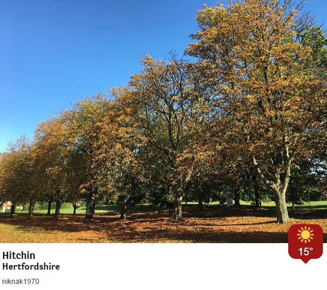 BBC Weather tweet media