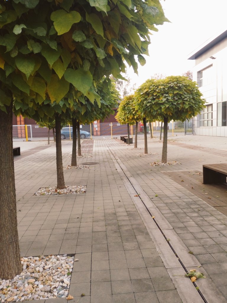 Adriana Figarová tweet media