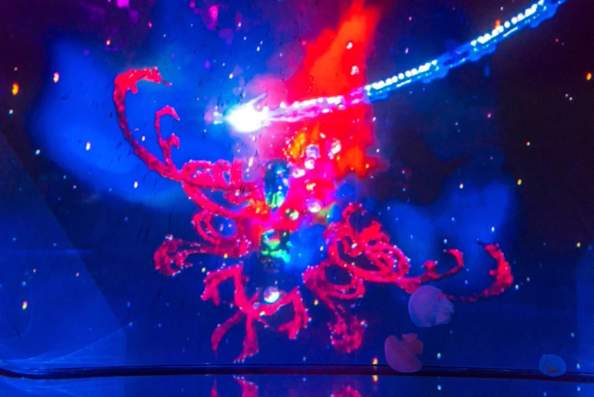 すみだ水族館【公式】 on X: 