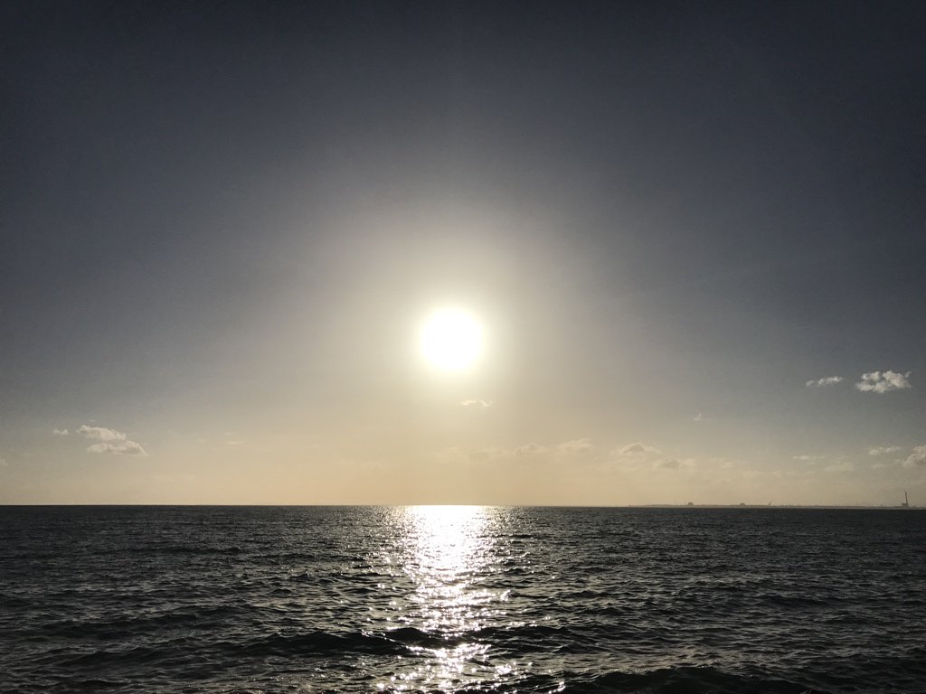 melpucca's tweet photo. My best photograph of #Melbourne #sunset yet. #Brighton near #NorthPointCafe #iPhone https://t.co/Q4KpDvXqDS