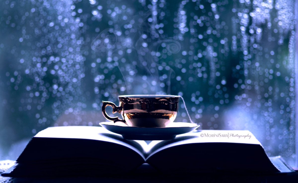 8ji__'s tweet photo. let's get lost in a world made of books coffee and rainy days

☕🌸 - https://t.co/0Hal5ORG1b