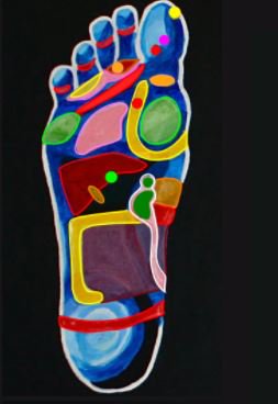 Reflexology Interactive Foot Chart