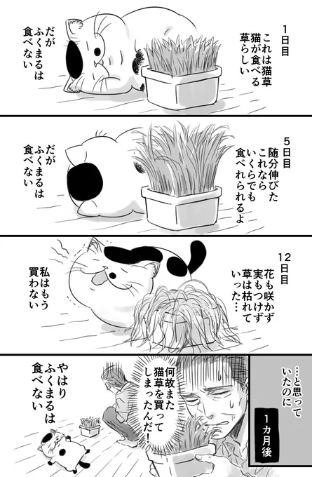 【おじさまと猫の番外編です】おじさまの草日記 