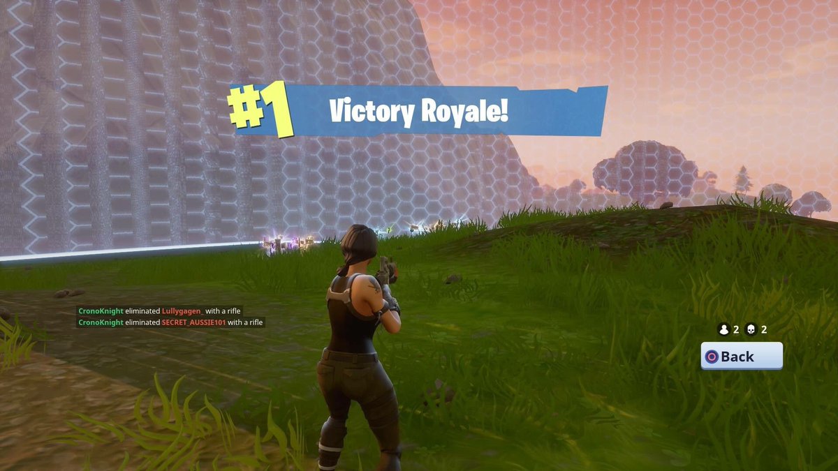 dan gniady - fortnite battle royale win