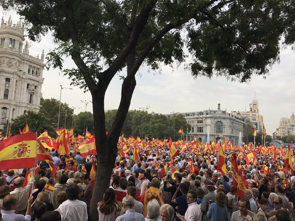 JovenEuropeo's tweet image. Cibeles ahora. Aquí no hay partidos ni políticos. Solo españoles.