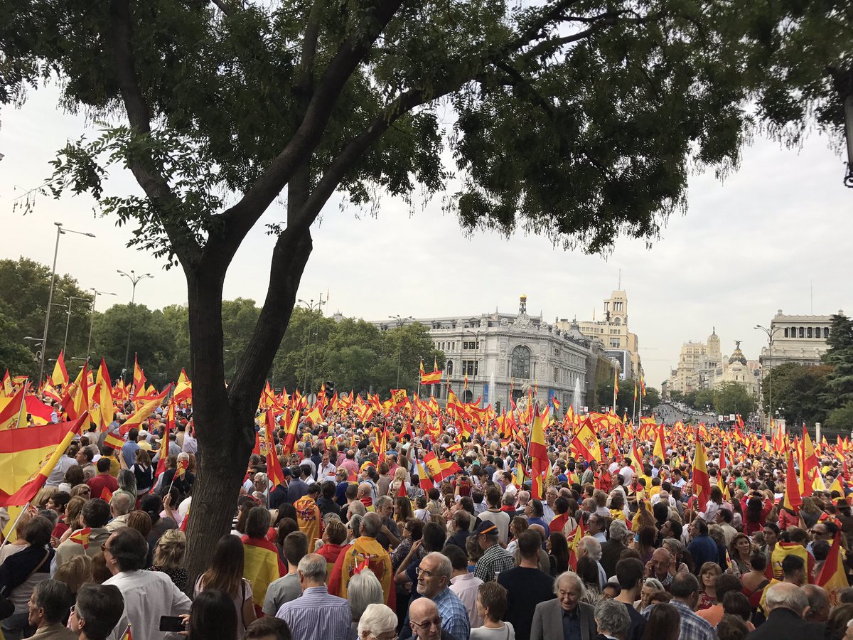 JovenEuropeo's tweet image. Cibeles ahora. Aquí no hay partidos ni políticos. Solo españoles.
