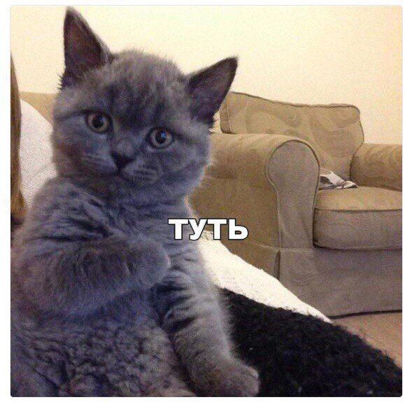 Где торгуются опционы на нефтяные фьючерсы Где торгуются опционы на нефтяные фьючерсы