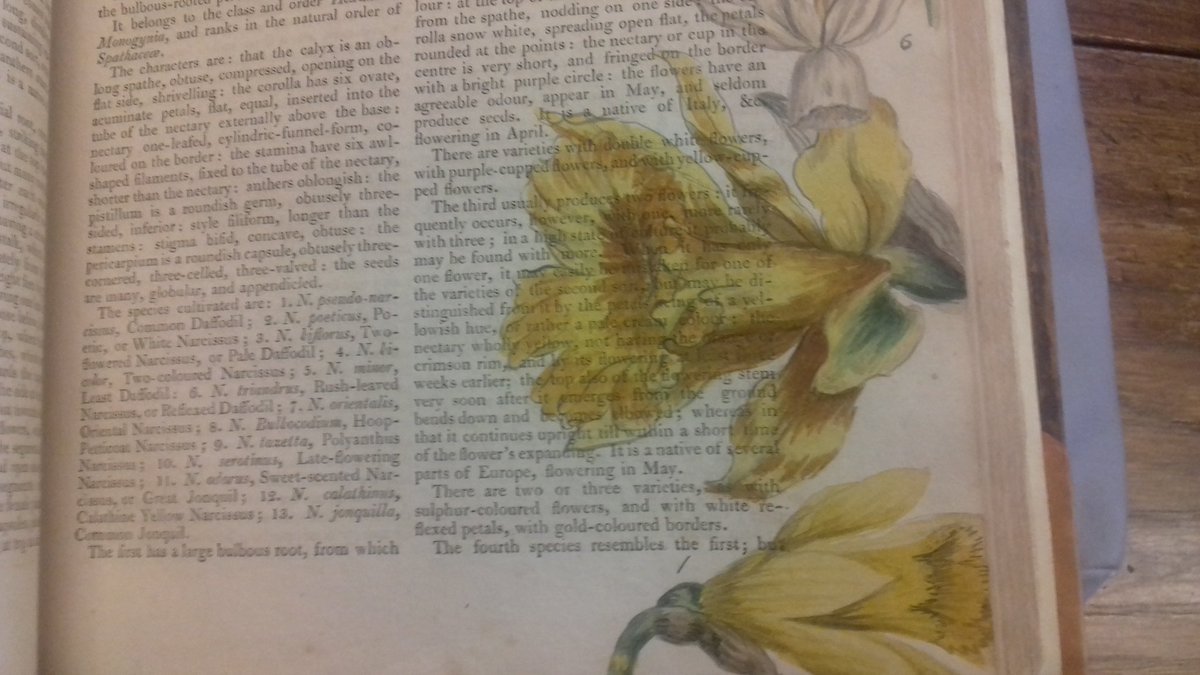 Elizabeth Mackenzie decided to improve her copy of Gardener's Dictionary in early 1800s. From <a href="/The_RHS/">The RHS</a> library at <a href="/RHSWisley/">RHS Garden Wisley</a>