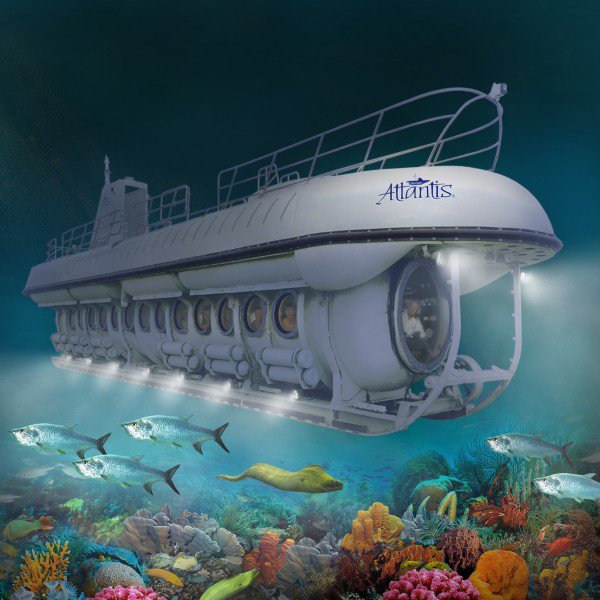 robertscottmk's tweet photo. Have a Submarine Night Tour Experience! (Wednesday nights)
https://t.co/SRtrvXwZCn

#ActivitiesinCayman #CaymanActivities #CaymanIslands https://t.co/X1BxHqRIs3