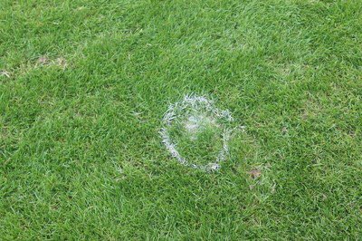SaveHullCity's tweet photo. Ah yes, this wasn't very quickly painted on for a photo was it? @HullCity think we need @groundsmenhull back... #HCAFC https://t.co/24ZvwfXn3O