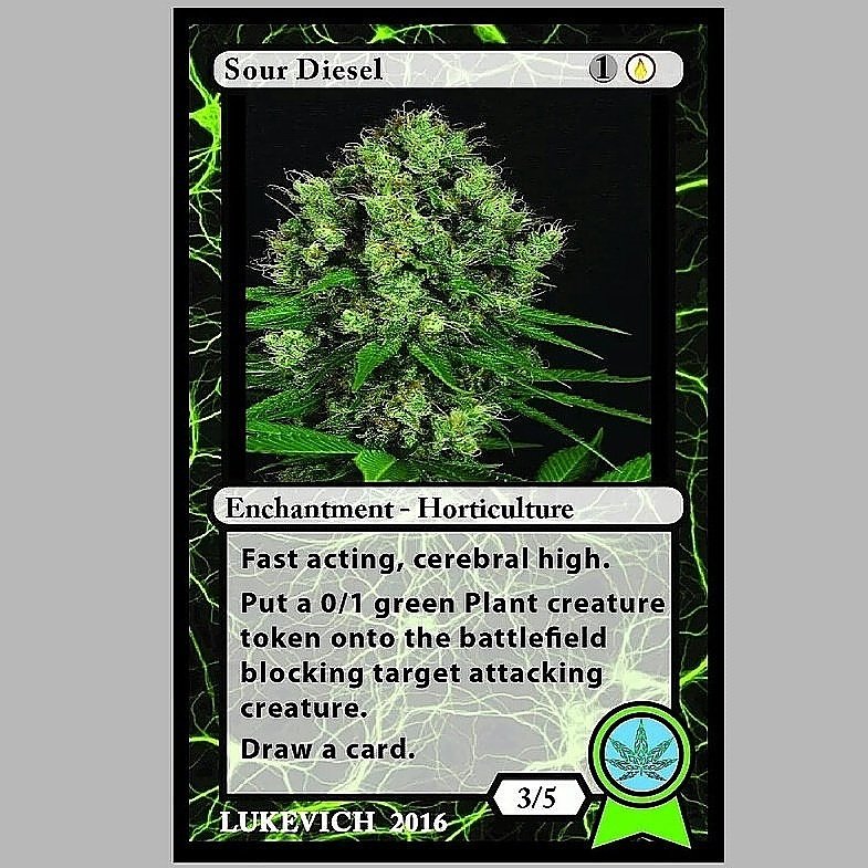ABlueVoice_'s tweet photo. Junkyard Junkies Series 2 back of card #23a "Sour Deisel"
#JunkyardJunkies #SourDeisel #Weed #THC #Marijuana #CannabisArt #loud #Hightimes https://t.co/2uHYVBpUMH