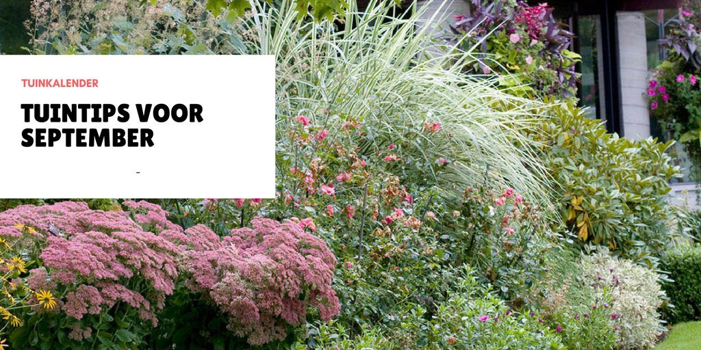 tuinen_nl's tweet photo. WAT NU TE DOEN - Hoe ver ben jij al met de klusjes voor deze maand? In onze #tuinkalender vind je tips en tricks: https://t.co/O6heu2xGNj https://t.co/8Rvyw6ozuA