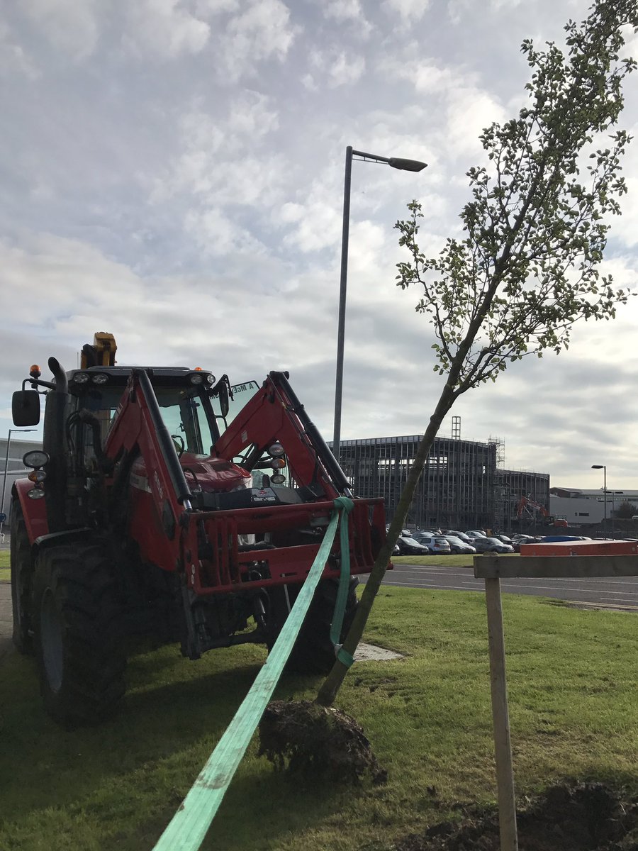 kyleleslie96's tweet photo. Some expert machinery in use at one of are sites this morning! https://t.co/EylgjryOf6
