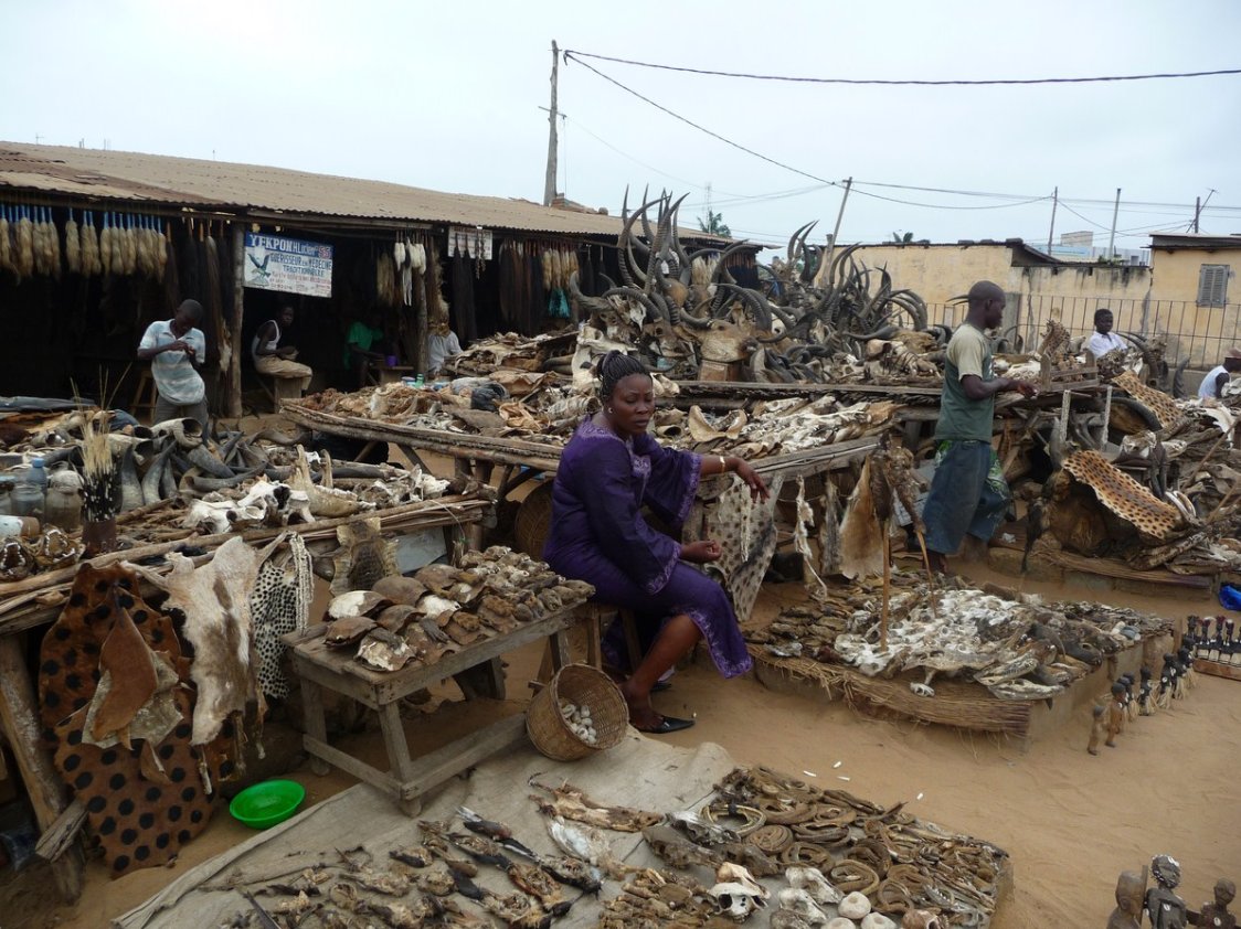 Image result for Akodessawa Fetish Market