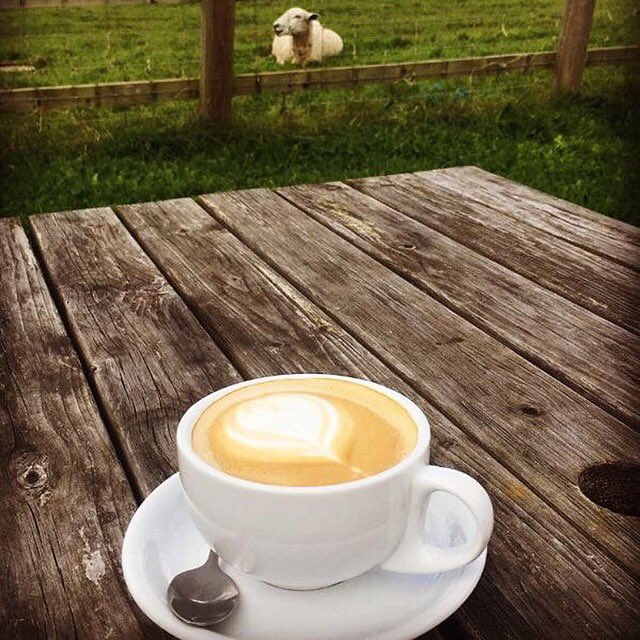Good morning 🐑☕️! #lebleulife #coffee #coffeelovers