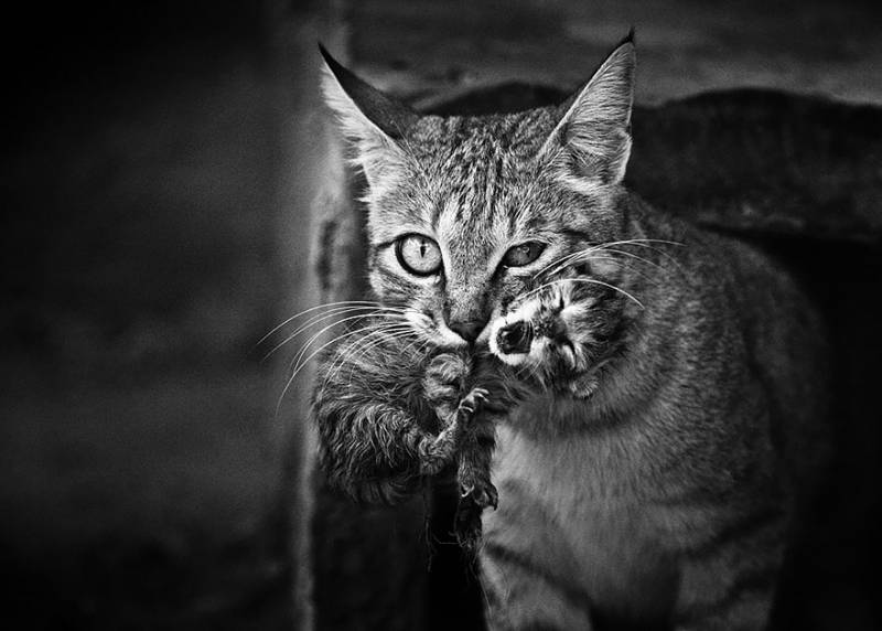 maolindas's tweet photo. La Mamma ha sempre #ragione !
#Digrammi
#18settembre https://t.co/VT9XlF0SC5