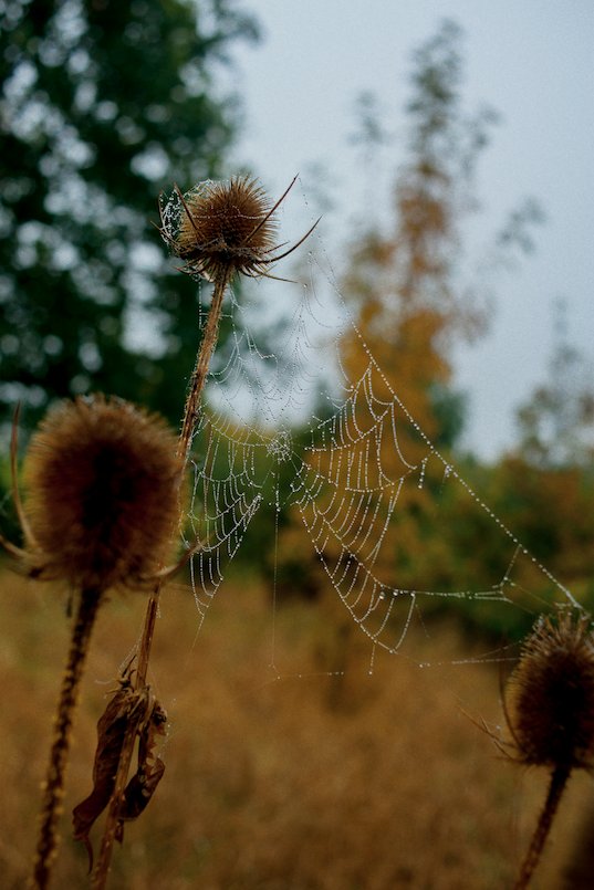 You can own a signed 8x10 print by Brit photographer <a href="/samhiscox/">Sam Hiscox</a> when you support our Kickstarter campaign: kickstarter.com/projects/94009…