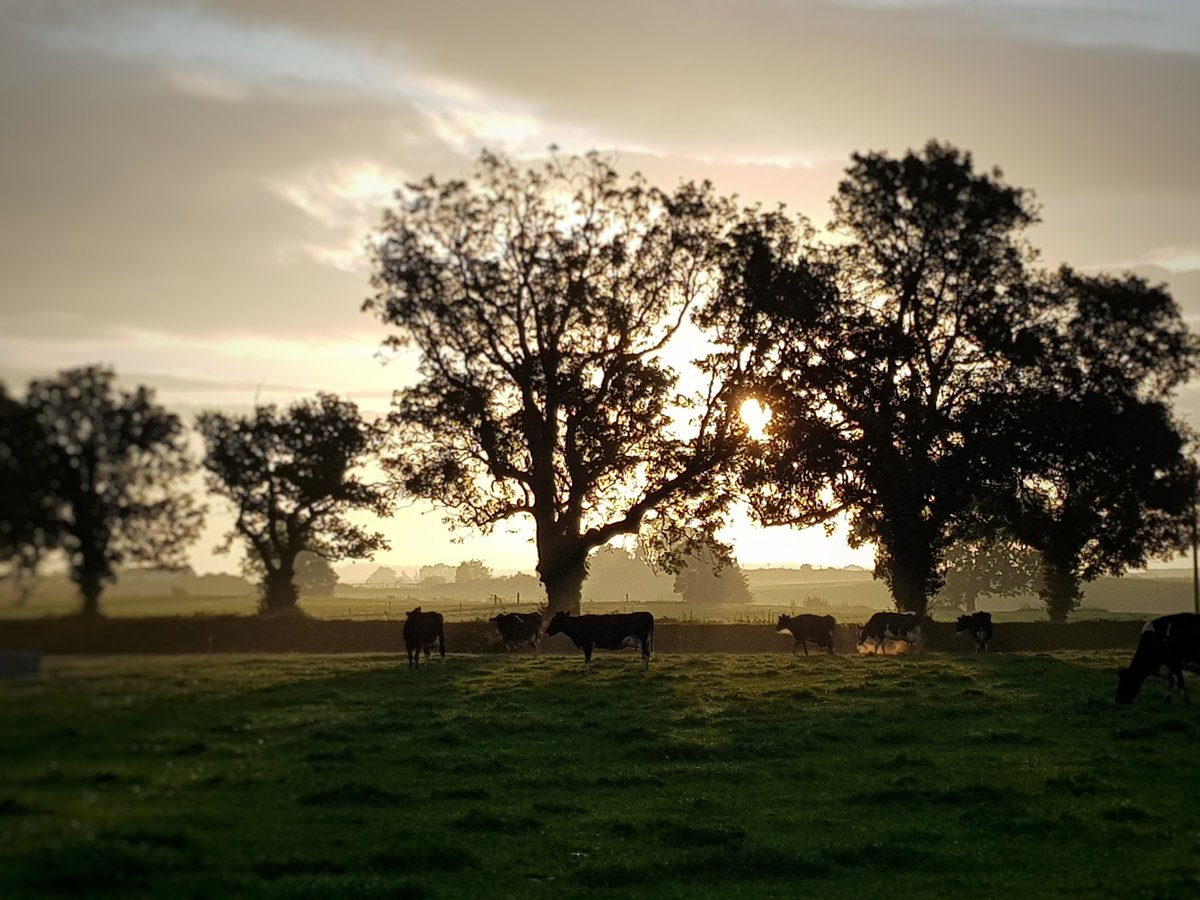 muirtwit's tweet photo. Great start to the day! #sunsout
On a serious note #rightsock loss earlier, regained it now #realnews https://t.co/zPnyaB19sD