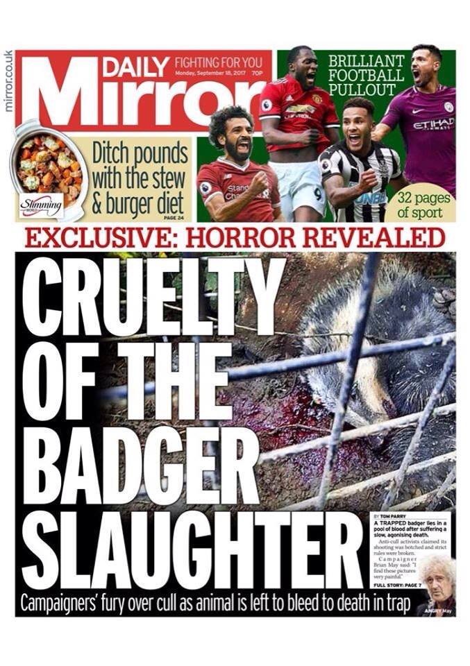 VaccinateBadger's tweet photo. #badgercull !!
Dont sit &amp; do nothing while maybe 30,000 Badgers are killed over the next 6 weeks!
Make sure everyone knows whats happening! https://t.co/zXTXlUs0sK
