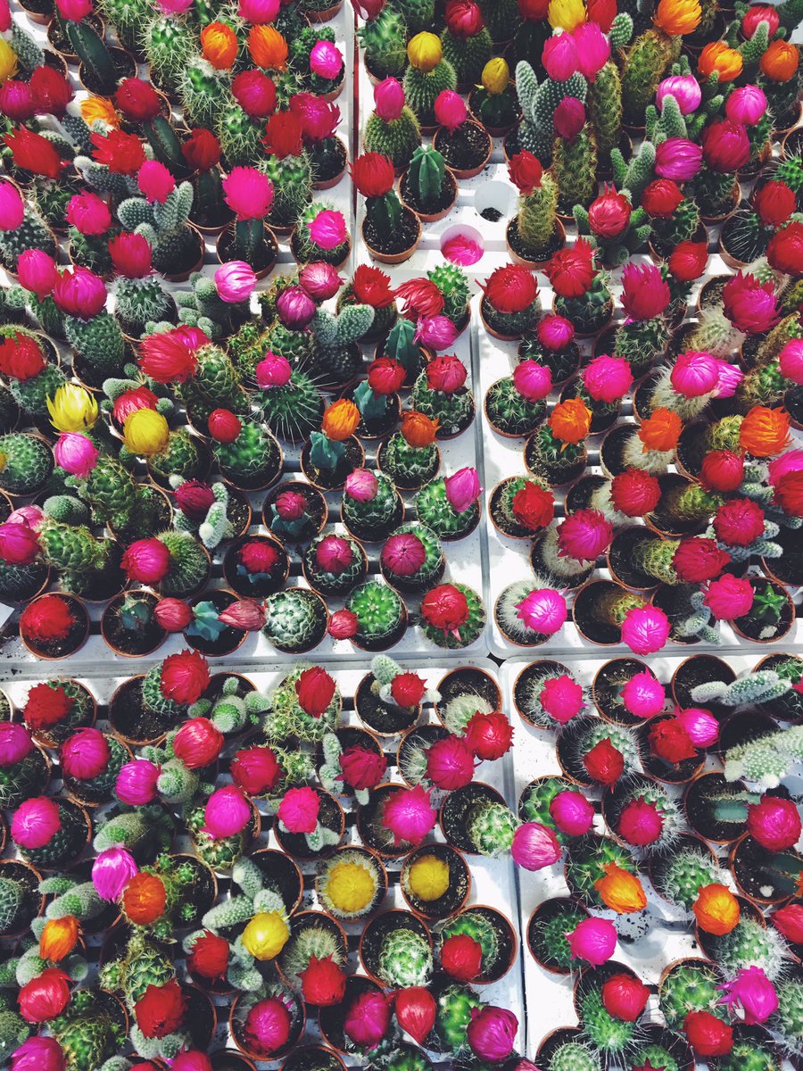 MaddoggStj's tweet photo. Colors of Spain https://t.co/cSiqOurG3P