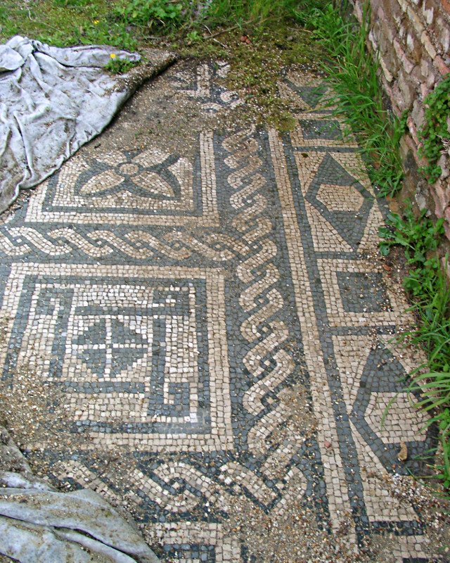 Particolare di un mosaico della Domus dei Pesci a #Ostia antica.