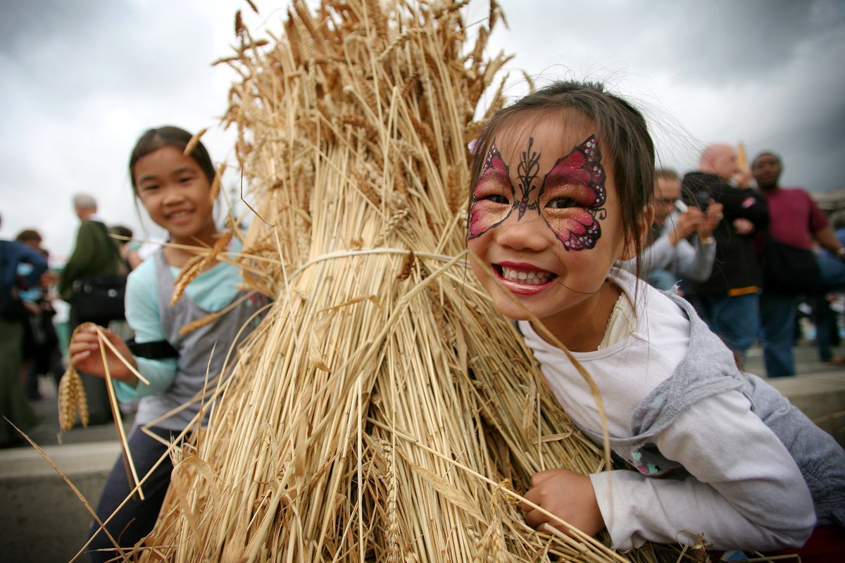 Harvest Stomp festival is on  the 24/09 -  Join for activities, workshops food and drinks at <a href="/noordinarypark/">Queen Elizabeth Olympic Park</a>  queenelizabetholympicpark.co.uk/whats-on/event…