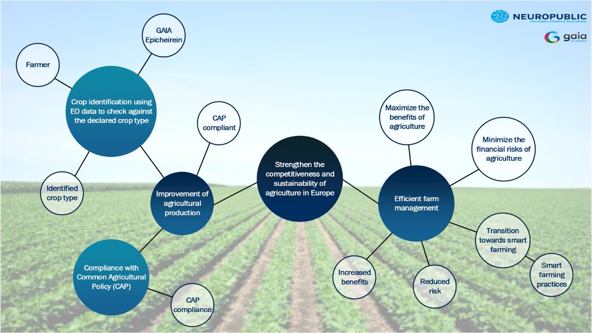 common agricultural policy cap