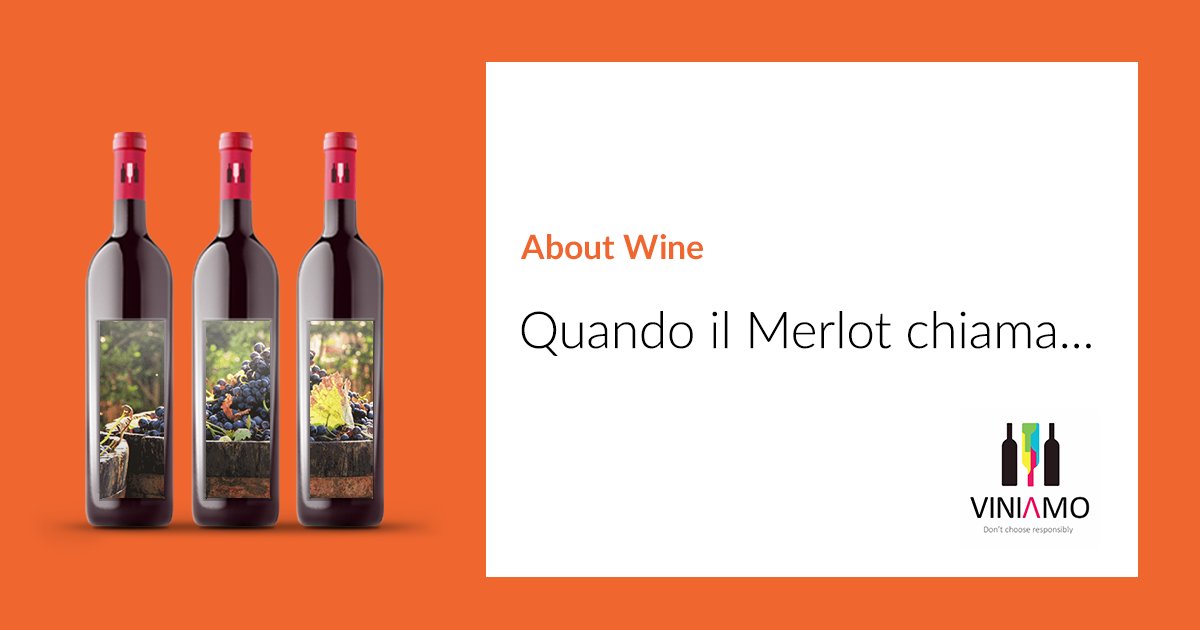 Perchè il #Merlot si chiama Merlot? Ve lo diciamo noi in questa #playlist di #vini!! #winelovers #ecommerce #wine bit.ly/2xOBCYa