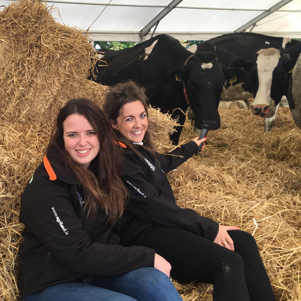 agrirach's tweet photo. Just catching up with @MiriamTheCow at @NPAIE #Ploughing17 https://t.co/PJhUbxGmSK