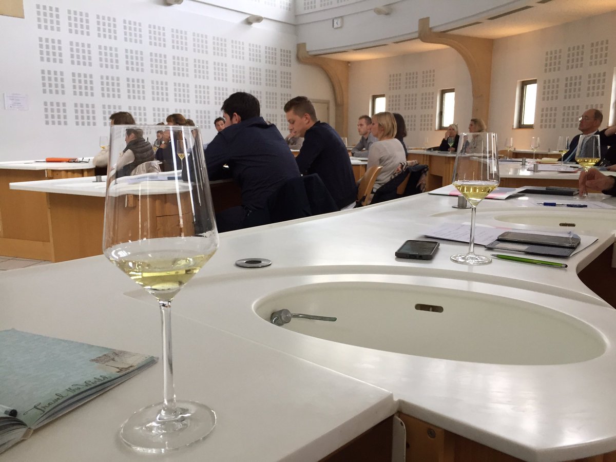Aure_LeDi's tweet photo. Belle présentation des Vins d'Alsace avec le #CIVA #drinkalsace pour les hôteliers/restaurateurs #ccialsace https://t.co/O5P7YHMM8F