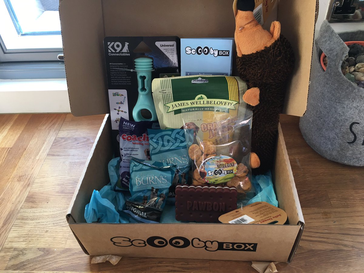 DaveTodayFM's tweet photo. Lorna is soooooo happy with her #scoobybox. Thanks, @andreahayesie! ❤️🐶 https://t.co/atWbz4Jv7E
