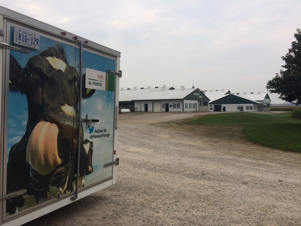 Ashley Pfister tweet media