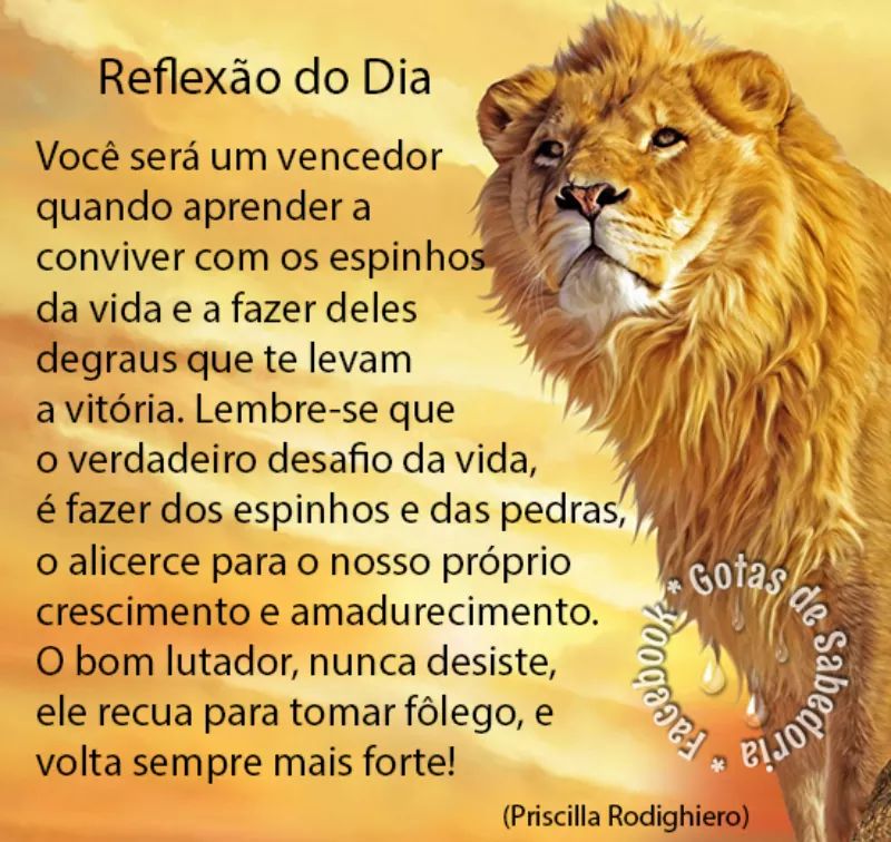 @DIBITTO333 <a href="/Evanildo4480/">Evanildo da Silva</a> <a href="/josyni25/">Josi</a> <a href="/Jose18Nilton/">Jose Nilton Santos</a> @augusto_teles_ <a href="/join_venturi/">Join Venturi</a> @fRerisson <a href="/Bruxinhaflor/">florzinha</a> <a href="/dani_marte/">Dani Marte ♕</a> <a href="/jspina/">Josh Spina</a> <a href="/PerpetuoSocor/">Deus no Controle sempre!!</a>