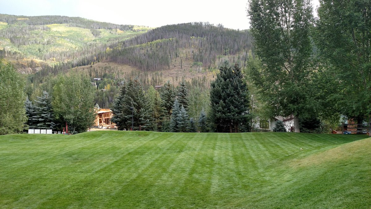 Vaillibrary's tweet photo. Check out the Spectacular view as seen from Vail's 4th Little Free Library, Ellefson Park #vail #GetOTL https://t.co/fkwSTN8IbA