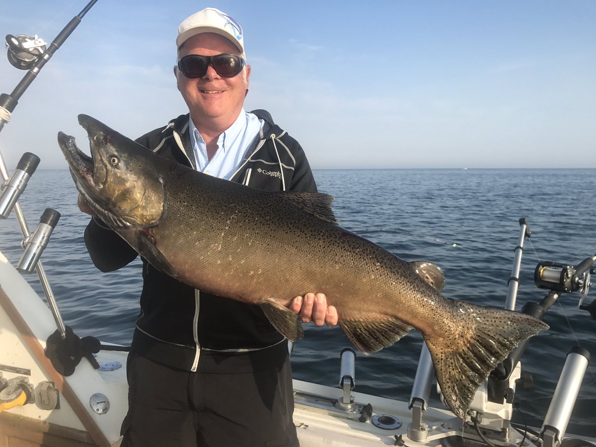 TeamTHRILLSEEKR's tweet photo. We fish Kings April thru October. The stamina this fall in low 60 degree water is unreal! https://t.co/Baq3pG90Le