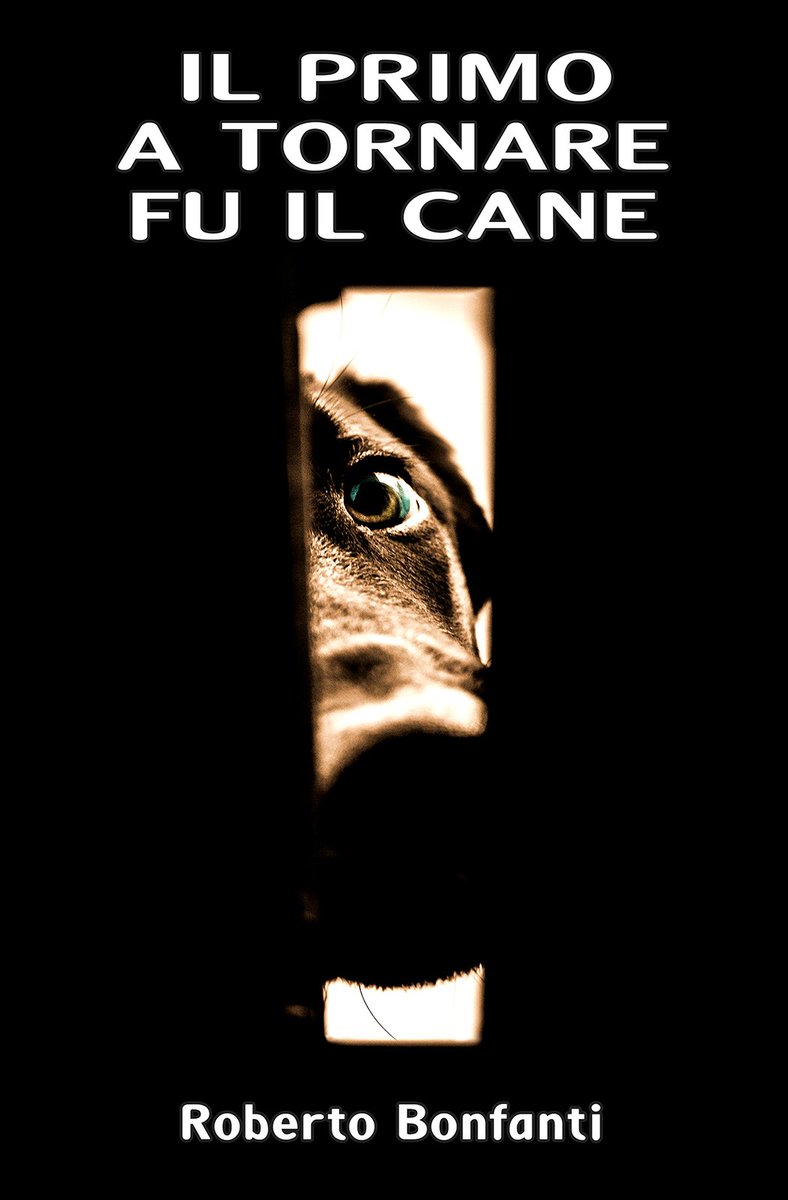 noiserider's tweet photo. Il primo a tornare fu il cane
https://t.co/FctRfZkaS4
@CasaLettori @Bestebook4u @ebookitaly @Kindle_IT @LibriSognieReal @librinews https://t.co/6pbXUc4KZc