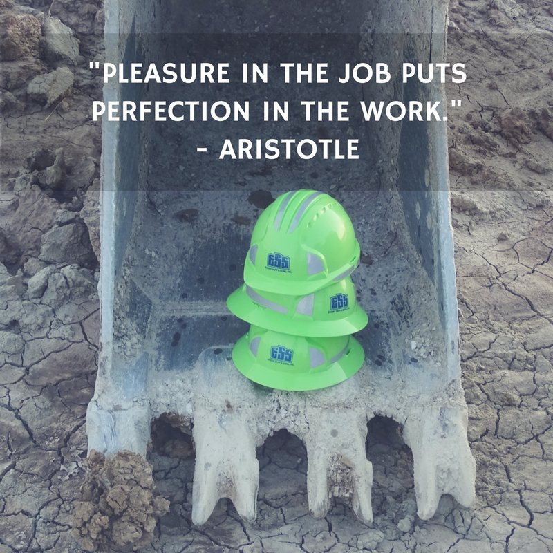 ESS_emerysapp's tweet photo. "Pleasure in the job puts perfection in the work" - Aristotle #HappyMonday #MotivationalMonday #ESS #OWNIT #ESSway #WorkHard https://t.co/W8JwUZBItU