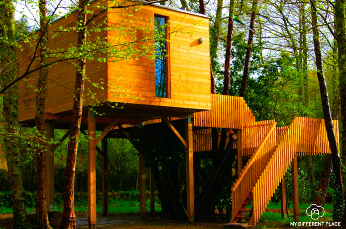 MDifferentPlace's tweet photo. ¡Si reservas con tiempo te haces con ellas, viajer@! :)
#CasaÁrbol #Glamping #MyDifferentPlace https://t.co/EE06FBTnwc
