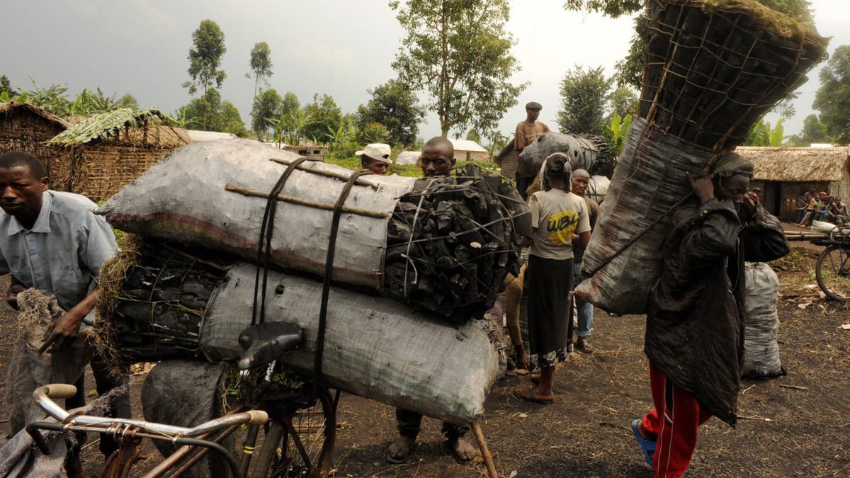 Doing Things Differently tweet media