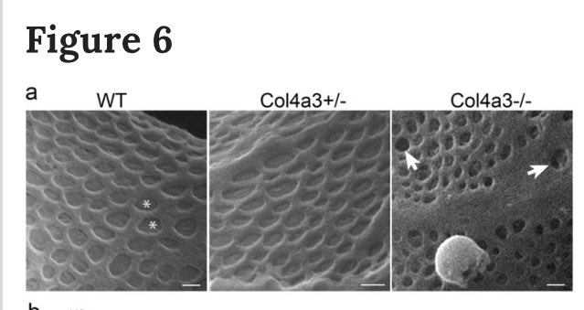 Michelle Rheault (@rheault_m) | Twitter