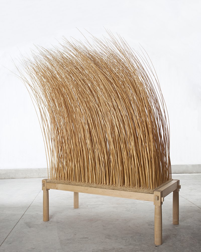 CamdenArtCentre's tweet photo. American artist #MartinPuryear presents work spanning over 40 years in his first London solo exhibition @Parasolunit https://t.co/fKu2DpKDvT https://t.co/51gkZBcnWt