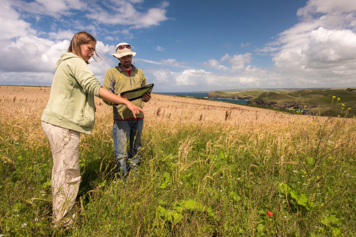nattrustjobs's tweet photo. A rare opportunity has arisen for a #LeadRanger to join our team in #Devon. 🚜 Could this be you? https://t.co/orPv5KFzrn https://t.co/dUSmmTNQXD