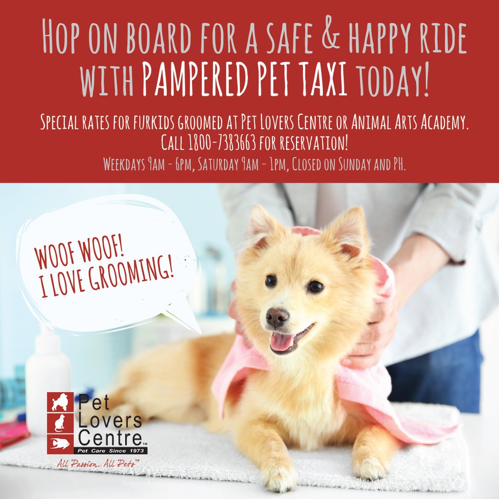 pampered pet taxi