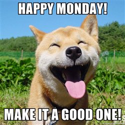 HEPHarwill's tweet photo. Happy Monday!! #Harwill https://t.co/9unVEMjYV0